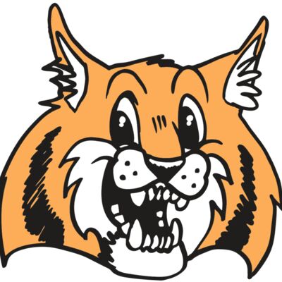 AR WILDCAT 13 RC Thumbnail