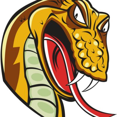 SNAKE HD0502 RQC Thumbnail