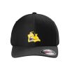 Rad Flexback Cap Thumbnail
